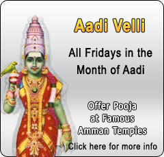 Offer Aadi Velli Pooja